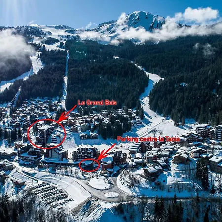 La Tania, 2 Pièces, 4 Personnes - Fr-1-182a-5 * Courchevel