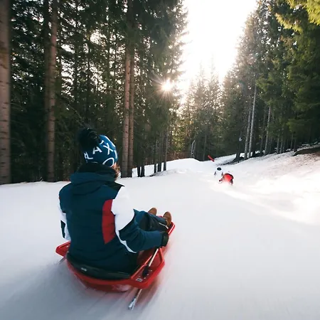 Lejlighed 2 Pieces Confortables, Skis Aux Pieds, Proche Commerces, 4 Pers - Fr-1-182a-5