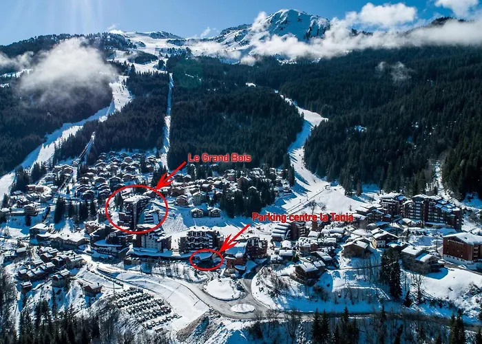 2 Pieces Confortables, Skis Aux Pieds, Proche Commerces, 4 Pers - Fr-1-182a-5 *