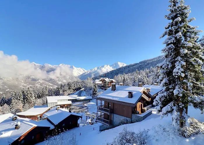 Lejlighed 2 Pieces Confortables, Skis Aux Pieds, Proche Commerces, 4 Pers - Fr-1-182a-5 Courchevel